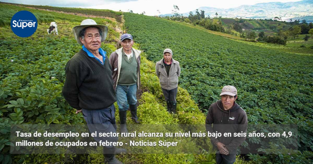 Tasa de desempleo en el sector rural alcanza su nivel más bajo en seis ...