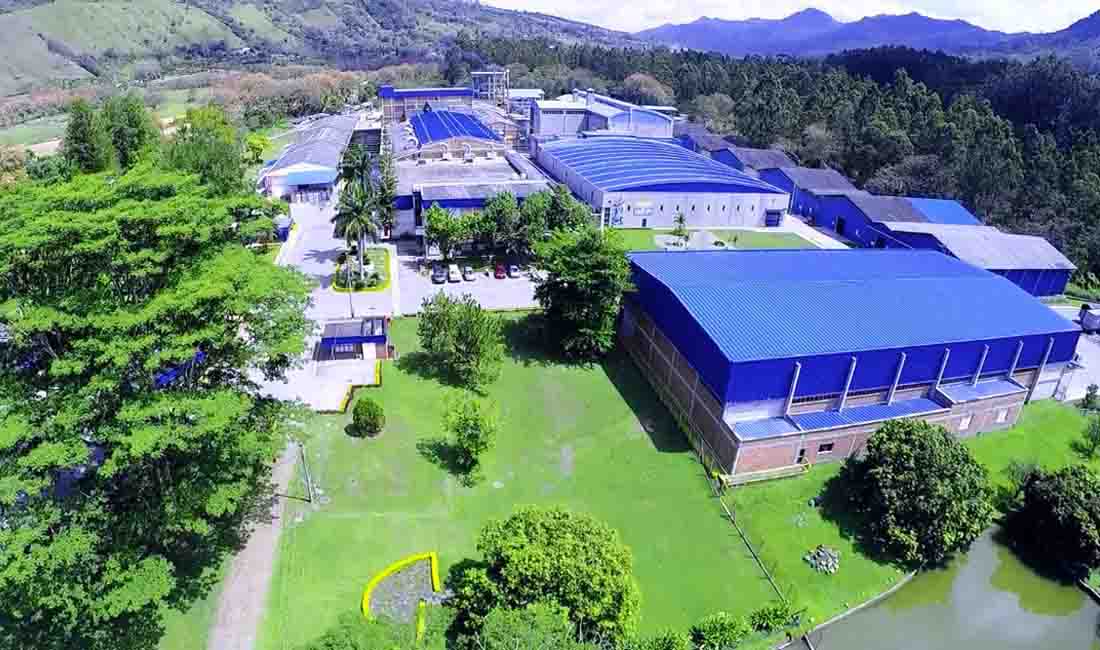 Kimberly-Clark Professional™ anuncia su estrategia de sostenibilidad para América Latina: “Azules por naturaleza, verdes por elección”