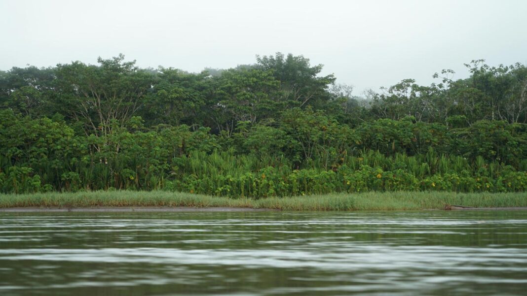 Informe sin precedentes revela amenazas inminentes para pueblos indígenas y comunidades colombianas de la Amazonía