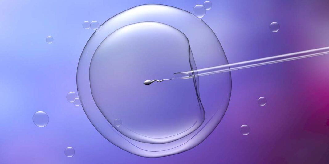 Infertilidad: una realidad global que exige acceso seguro y guiado a la reproducción asistida
