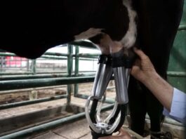 DANE anuncia cierre exitoso de evaluación ética de estadísticas del inventario bovino de FEDEGÁN-FNG