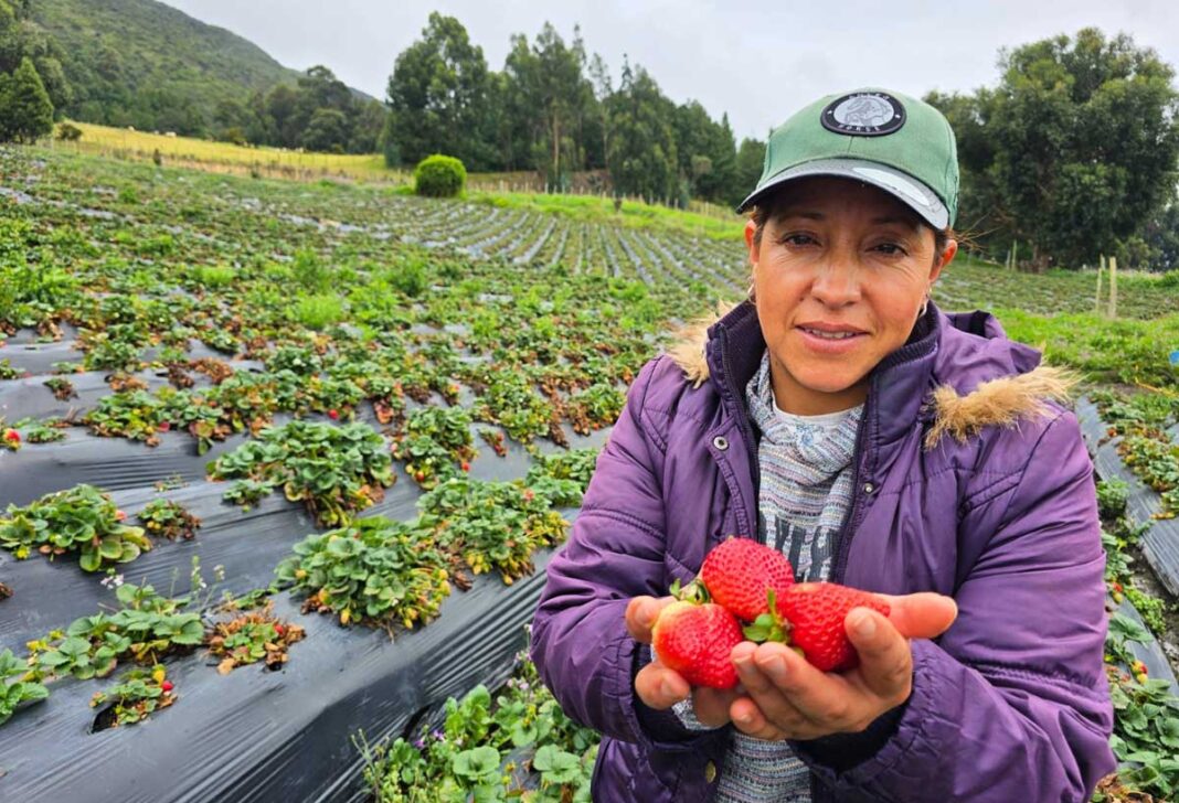 Mujeres rurales: liderazgo que transforma los sistemas agroalimentarios en Bogotá-Cundinamarca
