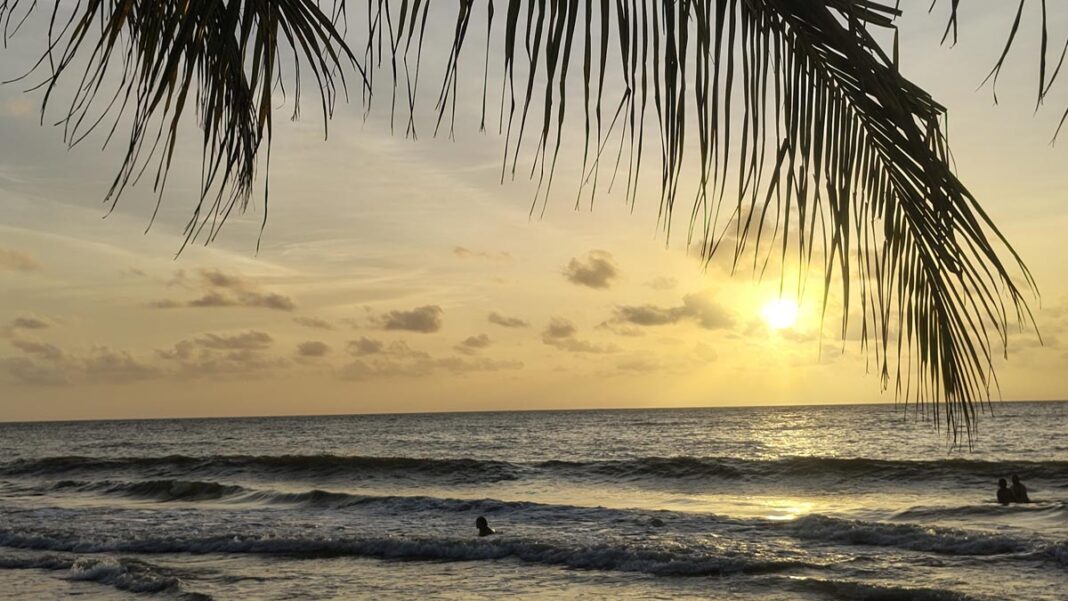 Corporación Turística Urabá Darién Caribe impulsa el crecimiento del turismo en una región que conquista con su esencia natural