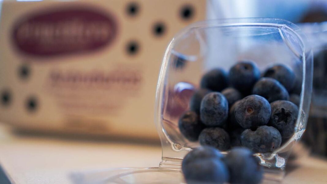 ¡Vuelve Nación Berries! El evento que conecta la industria de los berries en Latinoamérica