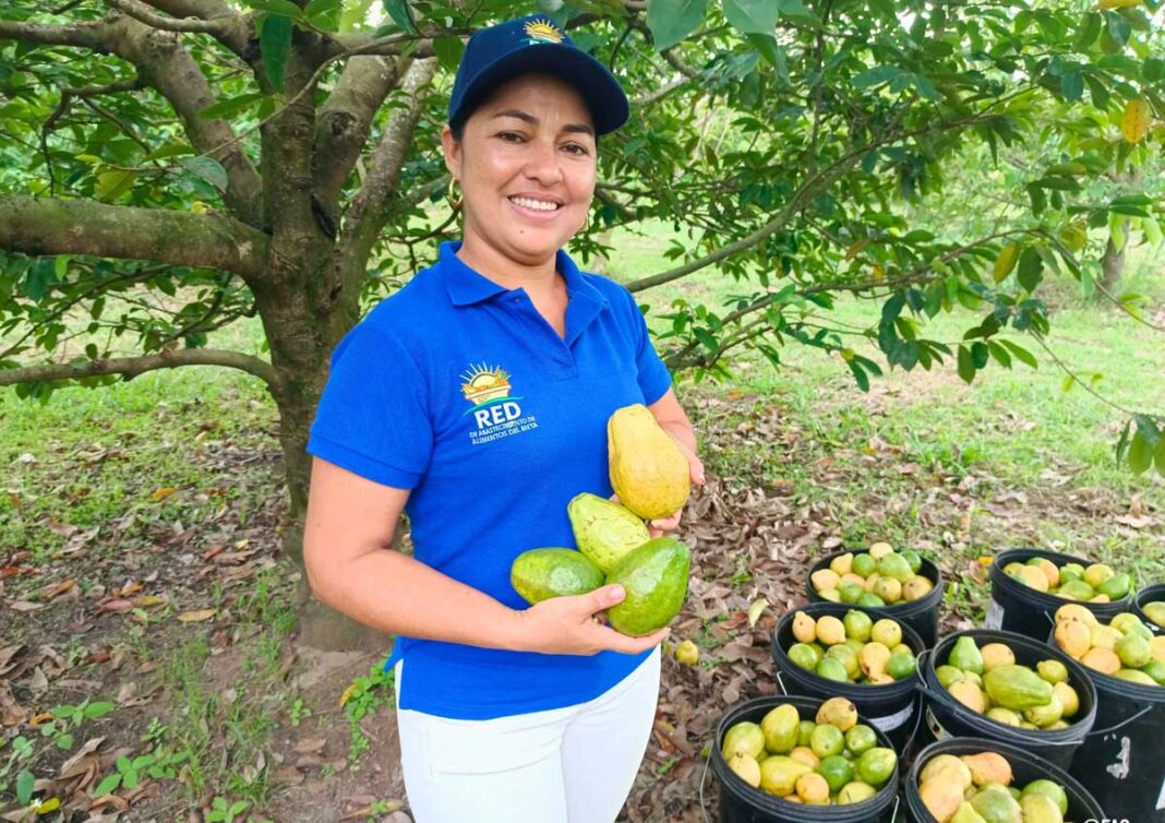Cuidar el suelo para alimentar el futuro
