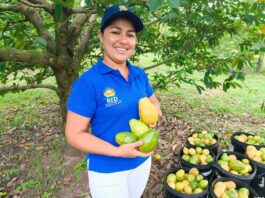Cuidar el suelo para alimentar el futuro