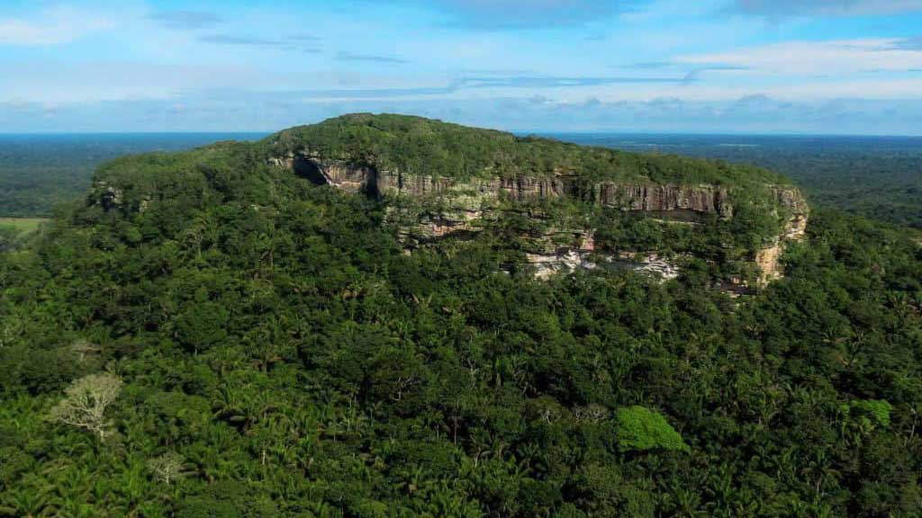 Guaviare se propone alcanzar la deforestación cero para el año 2036 mediante su nueva política de desarrollo sostenible con énfasis en Bioeconomía