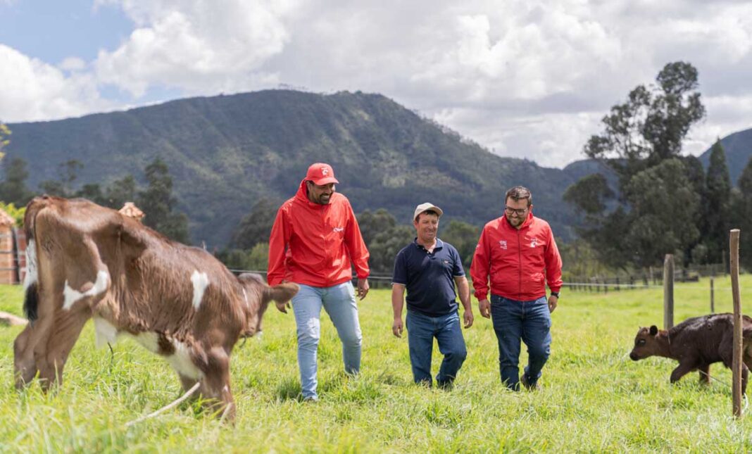 Alquería y la australiana SeaStock se alían para desarrollar en Colombia una innovación que podría transformar la ganadería