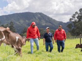 Alquería y la australiana SeaStock se alían para desarrollar en Colombia una innovación que podría transformar la ganadería