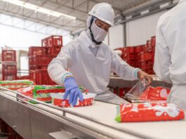 ¿Cómo logró Alquería convertirse en la segunda empresa con mayor impacto social y ambiental de Colombia?