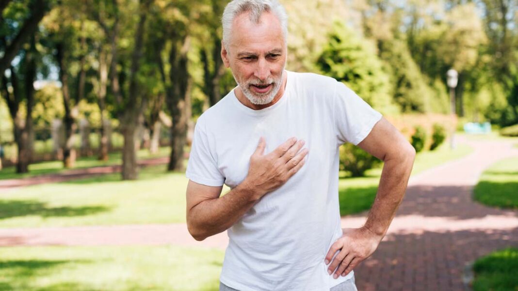 Salud cardiovascular: por qué el equilibrio entre oxidación y antioxidantes importa para cuidar el corazón
