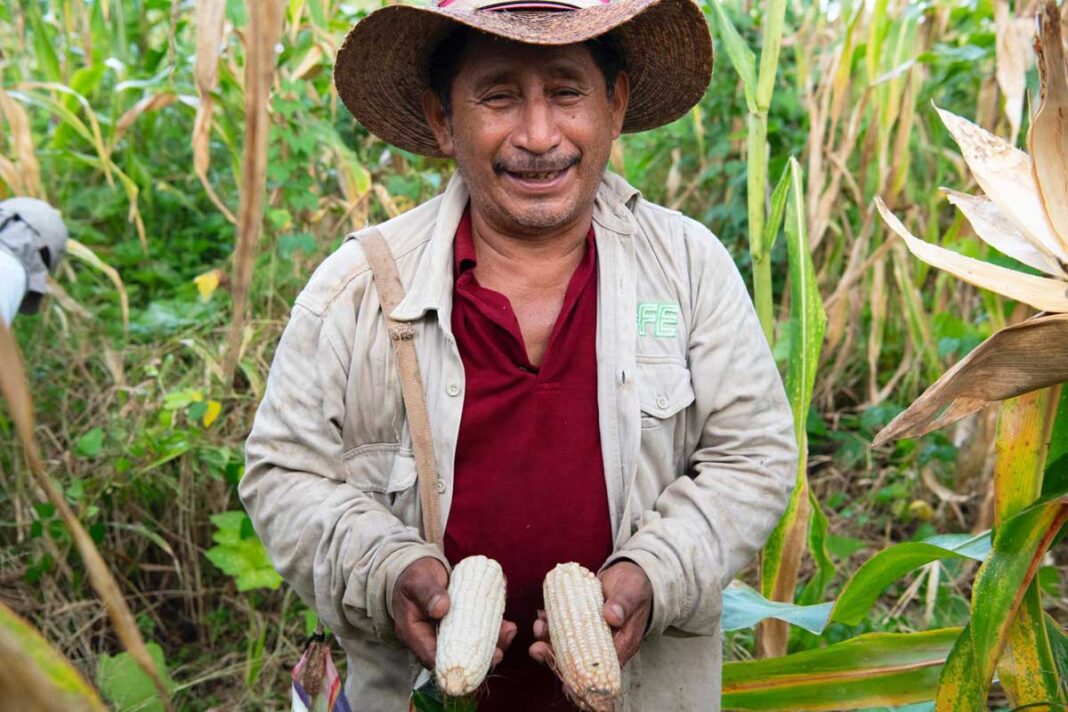Colombia pone la naturaleza en el centro de la conversación sobre su futuro